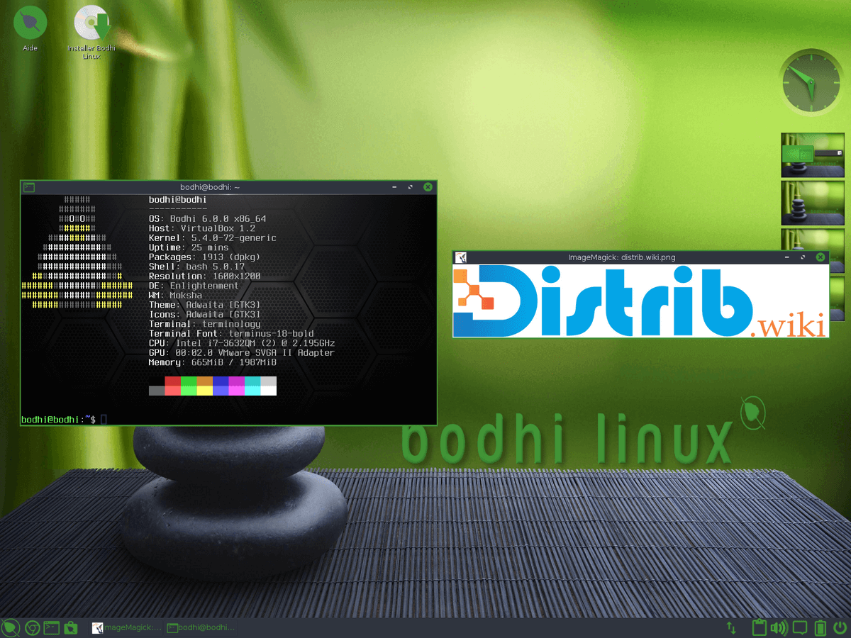 Bodhi Linux